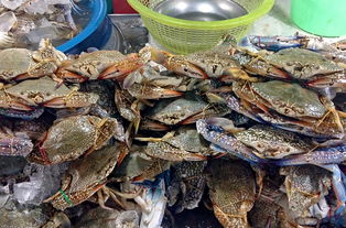 【孕妇能吃海鲜吗哪些海鲜不能吃】 【孕妇能吃海鲜吗哪些海鲜不能吃】